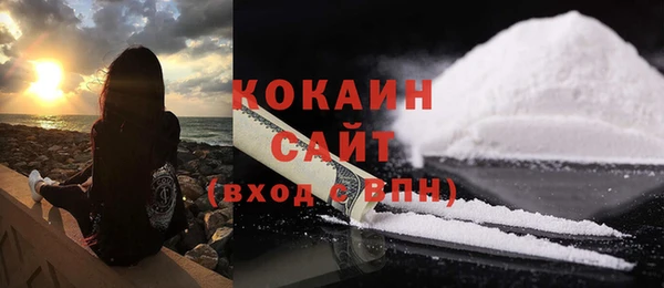 индика Красноперекопск