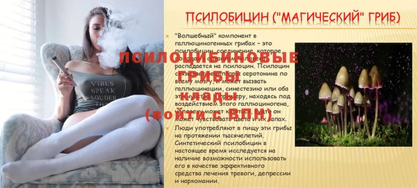 мет Коряжма