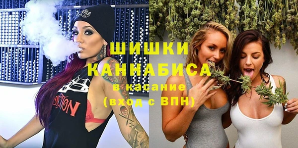 индика Красноперекопск