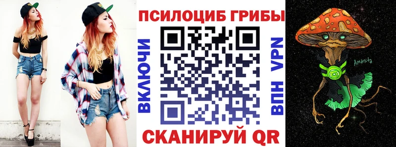 Псилоцибиновые грибы MAGIC MUSHROOMS  Купить  Изобильный 